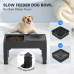Raised Dog Bowls O