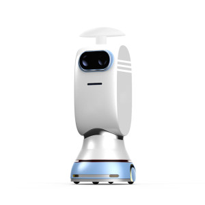BenBen Spray Disinfection Robot