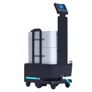Bigdog Service Robot